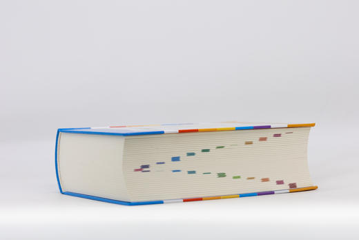 商务馆小学生多功能词典(彩图本) 商品图3