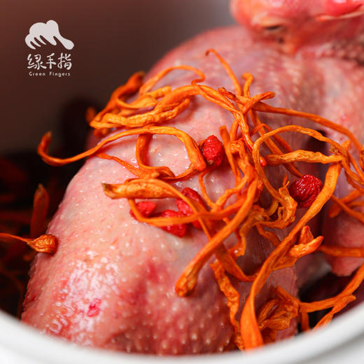 有机虫草花 | 合作生产*Organic Cordyceps flower | Coproducted 商品图2