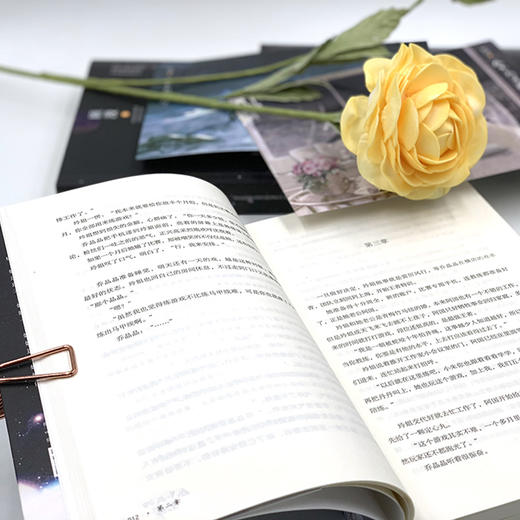 【新华书店旗舰店官网】赠海报 明信片 正版 你是我的荣耀 杨洋迪丽热巴主演原著流量咖大明星对上学神级航天工程师 言情小说 商品图2