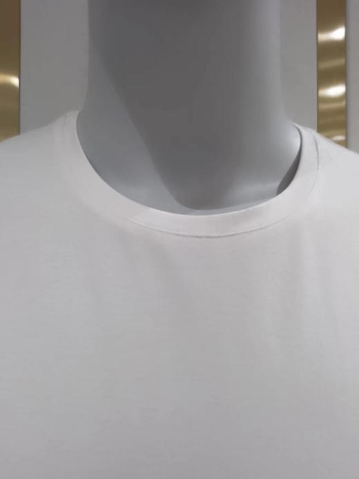 布莘保罗男装圆领纯色百搭短T 商品图1