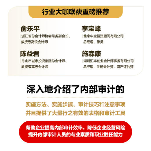 企业内部审计全流程实战从入门到实践 内审企业管理审计流程审计准则内部控制财务会计企业经营 商品图2