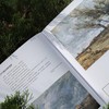柯罗 情感与诗意 柯罗 著 名家画集 商品缩略图1