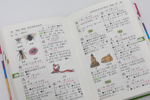 商务馆小学生多功能字典(彩图本) 商品图7