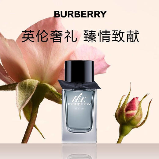 博柏利(BURBERRY)绅士靛蓝男士淡香氛 商品图1