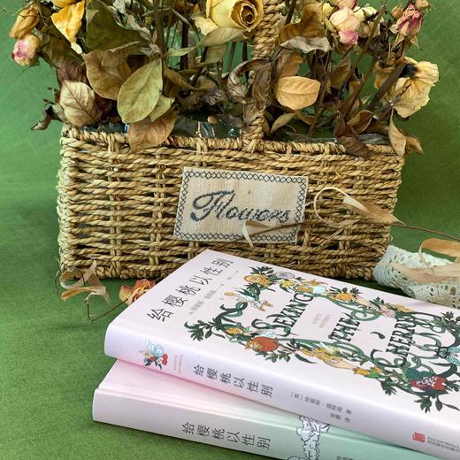 【新华书店旗舰店官网】正版 给樱桃以性别 英国天才作家珍妮特·温特森重磅代表作张悦然、蒋方舟、任晓雯、刘瑜等推荐 商品图2