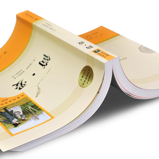 九年级下册」简爱书籍 原著正版人民教育出版社 初三初中生必读课外阅读书籍 完整无删减版 语文配套教材名著书目人教版 商品图3