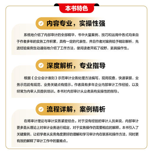 企业内部审计全流程实战从入门到实践 内审企业管理审计流程审计准则内部控制财务会计企业经营 商品图3