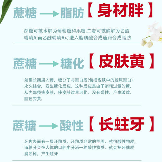无蔗糖粗粮压缩饼干孕妇早代餐中老年儿童糖尿网红零食 商品图6