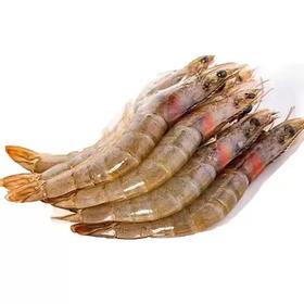 生态河虾