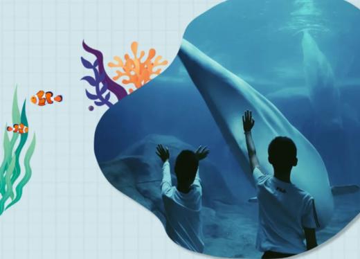 2022年白鲸海底露营节 商品图2