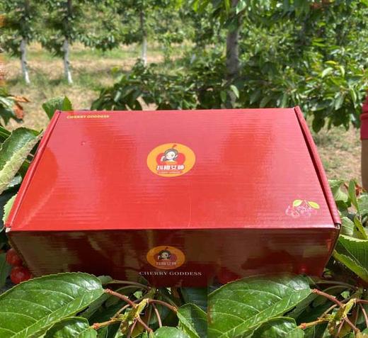 铜川大樱桃礼盒装 商品图0