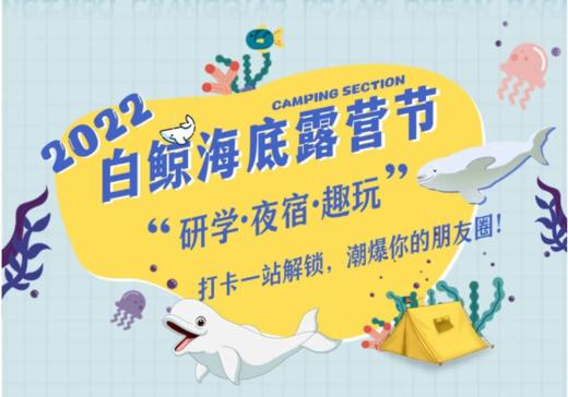 2022年白鲸海底露营节 商品图1