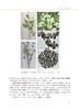 中国荞麦品种志 9787109286115 任长忠,陈庆富 “十三五”国家重点图书出版规划项目 苦荞 商品缩略图4