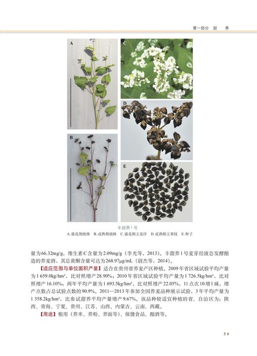 中国荞麦品种志 9787109286115 任长忠,陈庆富 “十三五”国家重点图书出版规划项目 苦荞 商品图4