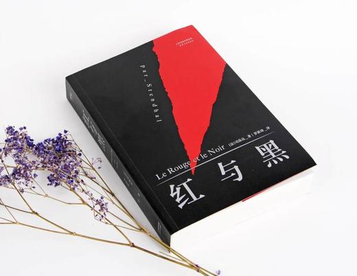 【新华书店旗舰店官网】正版  红与黑 法文直译无删节法国国家图书馆藏本中国社科院翻译家罗新璋先生翻译并修订内文 原版原著 商品图4