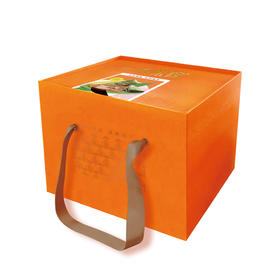 尊福棕12只粽1200g4只绿豆糕2只鸭蛋