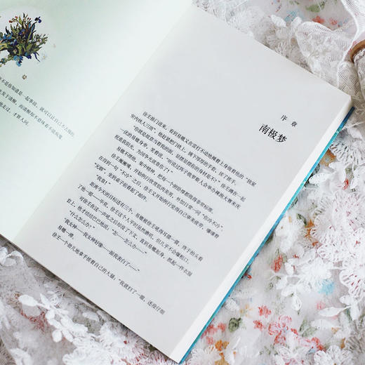 【新华书店旗舰店官网】白日事故 高台树色 重新寻访许唐成和易辙的青春气息和成长时刻 青春文学 商品图3