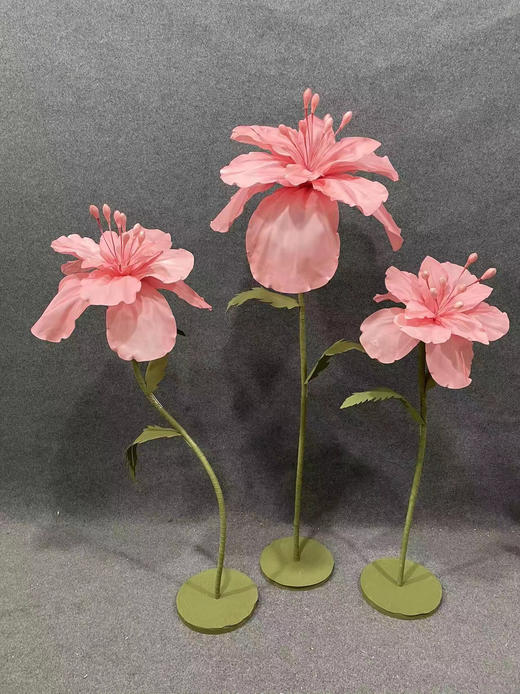 碧珠（运费自理） 商品图1