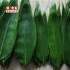 【GYZYDR】糯粽叶150g 商品缩略图0