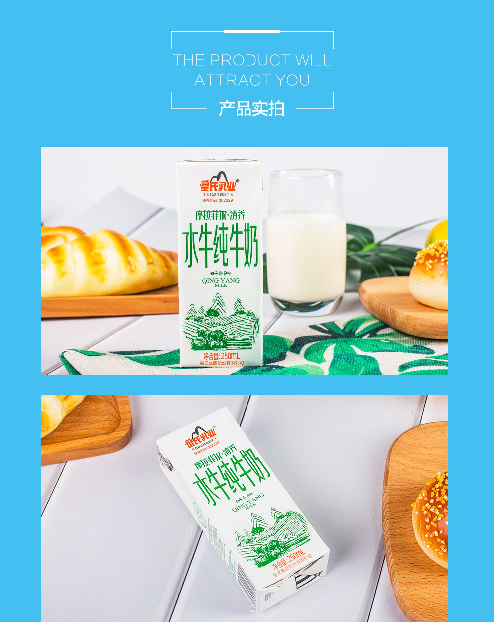 摩拉菲尔水牛奶图片