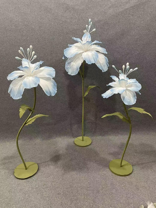 碧珠（运费自理） 商品图10