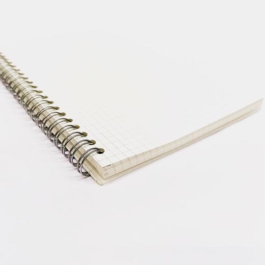 笔记本子A5线圈本小方格内页PP面本子学生课堂笔记考研方格笔记绘图错题简约手帐记事本 商品图7