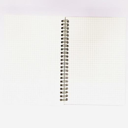 笔记本子A5线圈本小方格内页PP面本子学生课堂笔记考研方格笔记绘图错题简约手帐记事本 商品图11