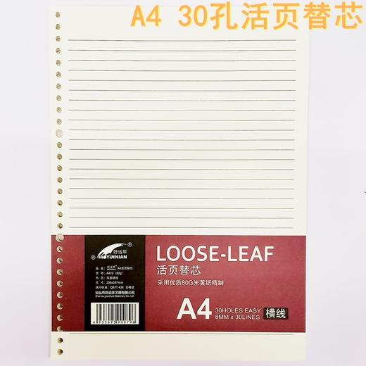 A4 30孔活页夹 可换活页替芯 笔记本 商品图8