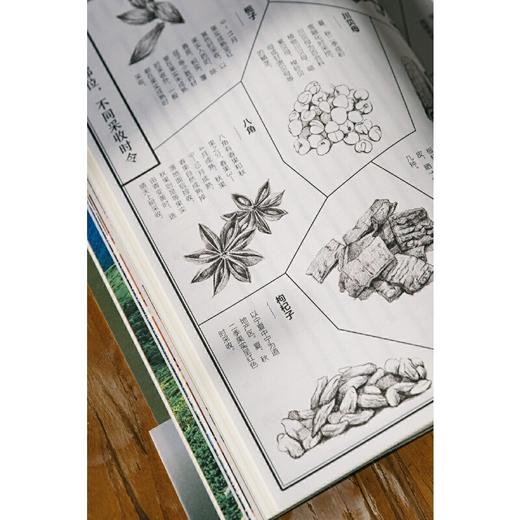【正版】地道风物·本草进化论 商品图5