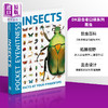 【中商原版】DK目击者口袋系列 昆虫	Pocket Eyewitness Insects	DK 英文原版 昆虫百科 商品缩略图0