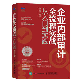 企业内部审计全流程实战从入门到实践 内审企业管理审计流程审计准则内部控制财务会计企业经营