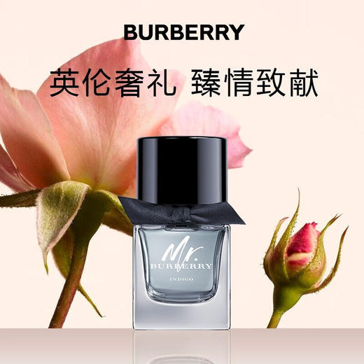 博柏利(BURBERRY)绅士靛蓝男士淡香氛 商品图0