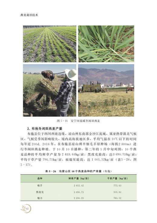 燕麦栽培技术 29193 麦片 荞麦 大麦 小麦 饲草产业高质量发展轻简技术丛书 商品图4