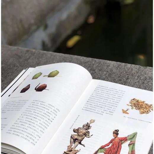 《湖上 惠风在衣》，平装2册，16开，王亚蓉等，西泠印社出版社2022年4月版，438页，定价198，售价198元。

“惠风在衣”语出《二十四诗品•冲淡》：“素处以默，妙机其微。饮之太和，独鹤与飞。 商品图12