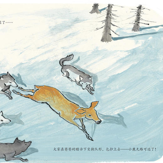 《中国故事·动物篇》（全10册） 商品图10