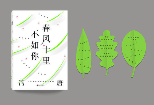 【新华书店旗舰店官网】正版  春风十里不如你 冯唐著年轻时极尽欢喜年长后极尽通透北京北京成事无所畏作者现代文学小说书 商品图3