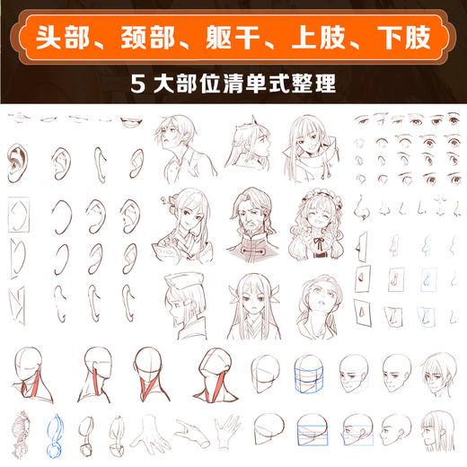 解构人体 动漫人体结构基础与绘制技法 二次元动漫人物手绘技法人体结构动态角色设计漫画造型游戏动漫绘画教程书素描临摹画册 商品图5