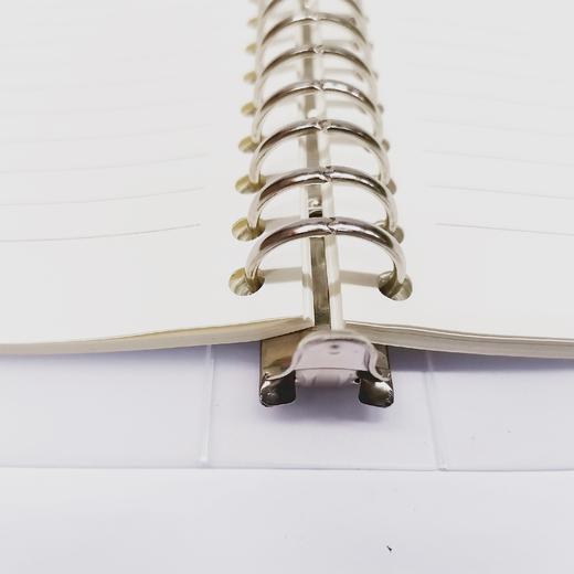 A4 30孔活页夹 可换活页替芯 笔记本 商品图5