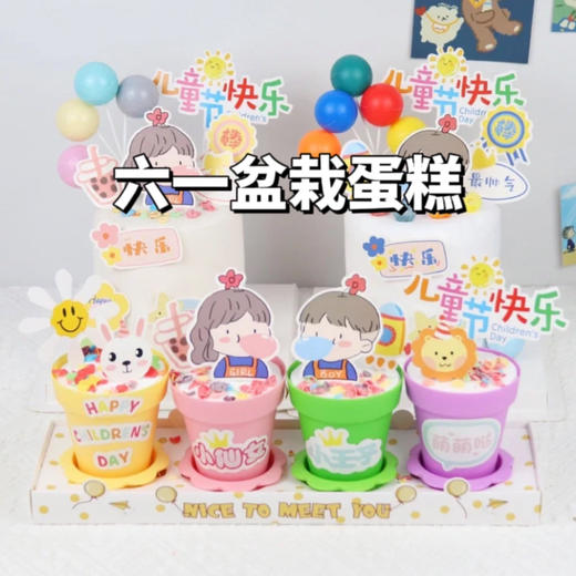 六一花花盆栽 商品图0