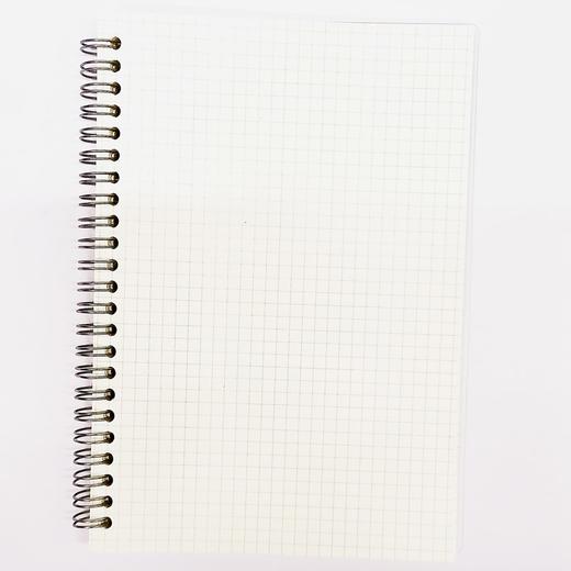 笔记本子A5线圈本小方格内页PP面本子学生课堂笔记考研方格笔记绘图错题简约手帐记事本 商品图10