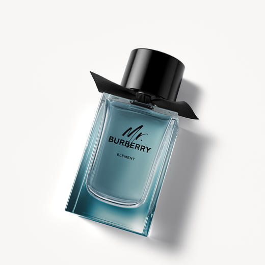 博柏利（BURBERRY）先生元素男士淡香水 商品图2
