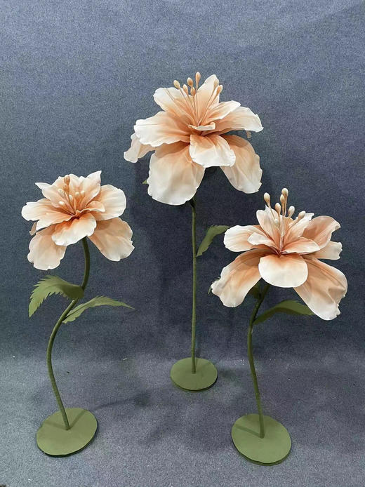 碧珠（运费自理） 商品图7