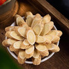 【药都严选】 西洋参枸杞黄芪红参四宝礼盒 300g 商品缩略图3