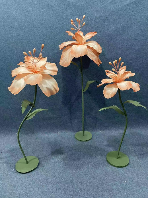 碧珠（运费自理） 商品图5