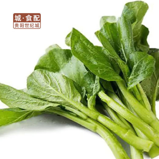 菜心500g/份【GYZH】 商品图0