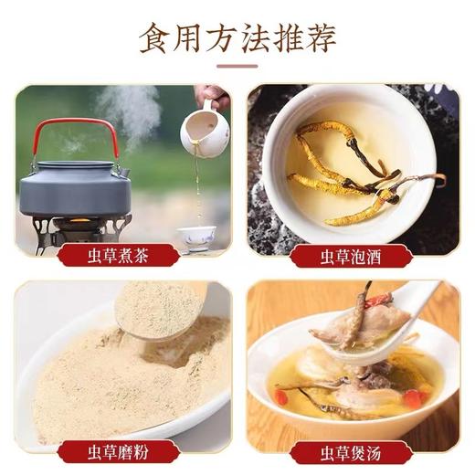 【药都严选】虫草20g礼盒装 商品图4