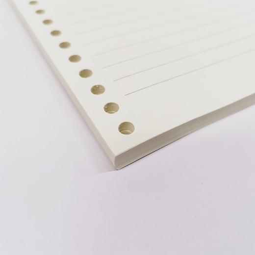 A4 30孔活页夹 可换活页替芯 笔记本 商品图10