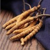 【药都严选】冬虫夏草30根礼盒装 约3-4根/克 商品缩略图3
