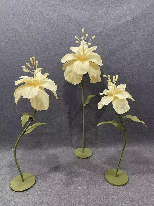 碧珠（运费自理） 商品图9