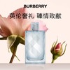 博柏利（BURBERRY）水清悦动男士淡香水 商品缩略图0